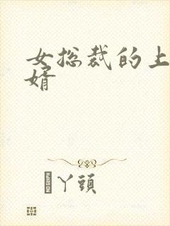女总裁的上门女婿