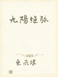 九阳绝脉封面