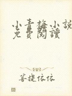 小青梅小说全文免费阅读