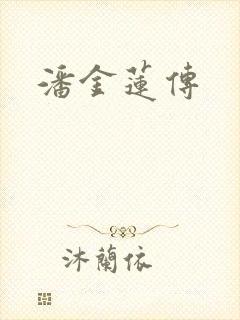 潘金莲传封面