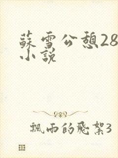 苏雪公憩28篇小说