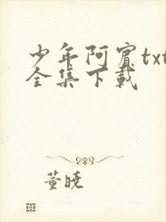 少年阿宾txt全集下载