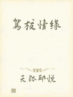 驾校情缘