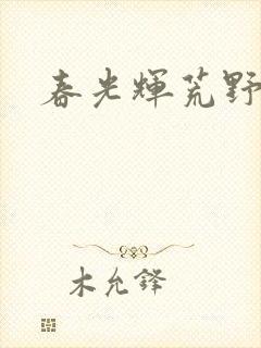 春光辉荒野封面