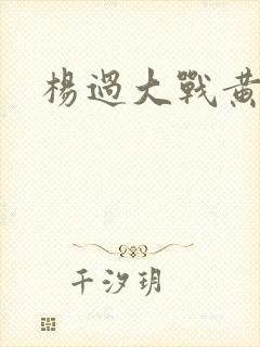 杨过大战黄蓉