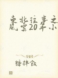 东北往事之黑道风云20年小说封面