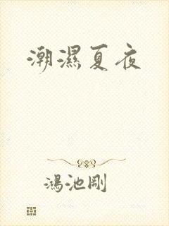 潮湿夏夜封面