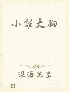 小说大胸