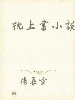 枕上书小说