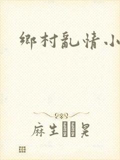 乡村乱情小说
