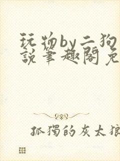 玩物by二狗小说笔趣阁免费阅读封面