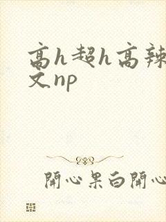 高h超h高辣h文np