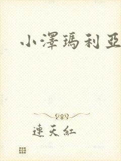小泽玛利亚作品