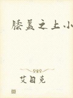膝盖之上小说封面