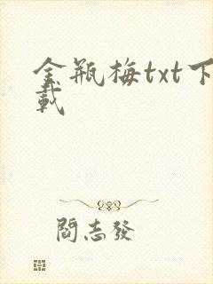 金瓶梅txt下载
