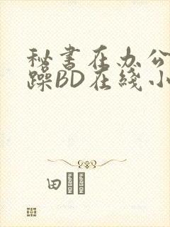 秘书在办公室被躁BD在线小说