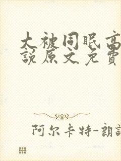 大被同眠高粱小说原文免费阅读封面