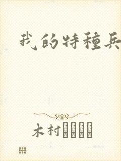 我的特种兵男友