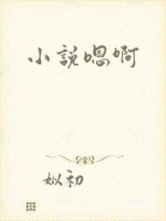 小说嗯啊
