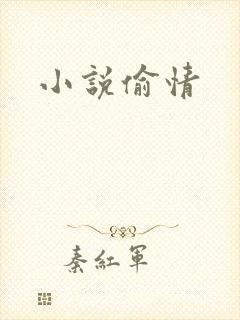小说偷情