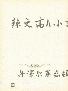 辣文高h小说