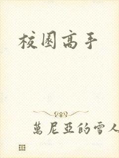 校园高手