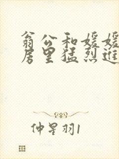 翁公和媛媛在厨房里猛烈进出
