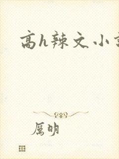 高h辣文小说