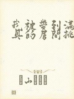 我被带到满是玩具的房间挑调作文