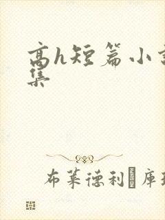 高h短篇小说合集封面