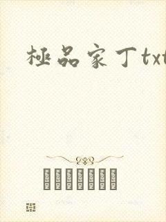 极品家丁txt
