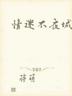 情迷不夜城