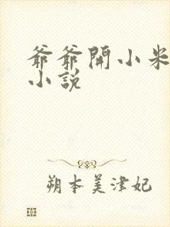 爷爷开小米的包小说