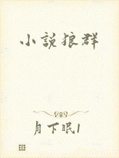 小说狼群封面
