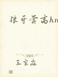 狼牙套高hnp