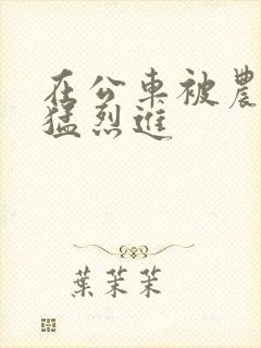 在公车被农民工猛烈进