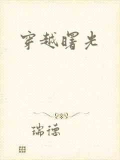穿越曙光封面