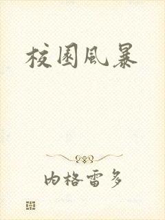校园风暴封面