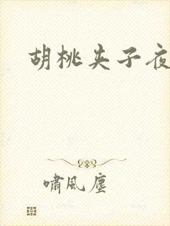 胡桃夹子夜未眠