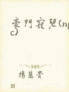 豪门宠儿(npc)
