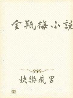 金瓶梅小说在线