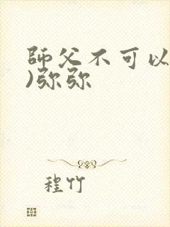 师父不可以(限)弥弥封面