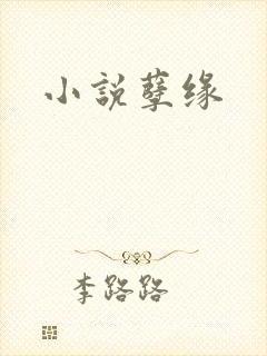 小说孽缘