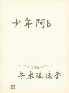 少年阿b