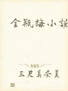 金瓶梅小说