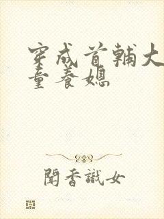 穿成首辅大人的童养媳封面