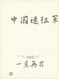 中国远征军小说