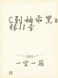 C到她乖黑暗森林11章