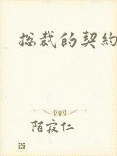 总裁的契约情人