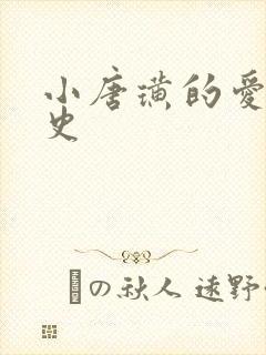 小唐璜的爱情历史